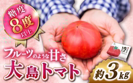 高糖度 トマト【糖度8度以上！】 大島トマト 約3kg   西海市産 トマト とまと 野菜 新鮮 旬 ＜大島造船所 農産グループ＞ [CCK005]