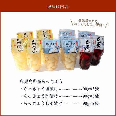 ふるさと納税 南九州市 鹿児島県産砂丘らっきょうプレミアムセット |  | 03