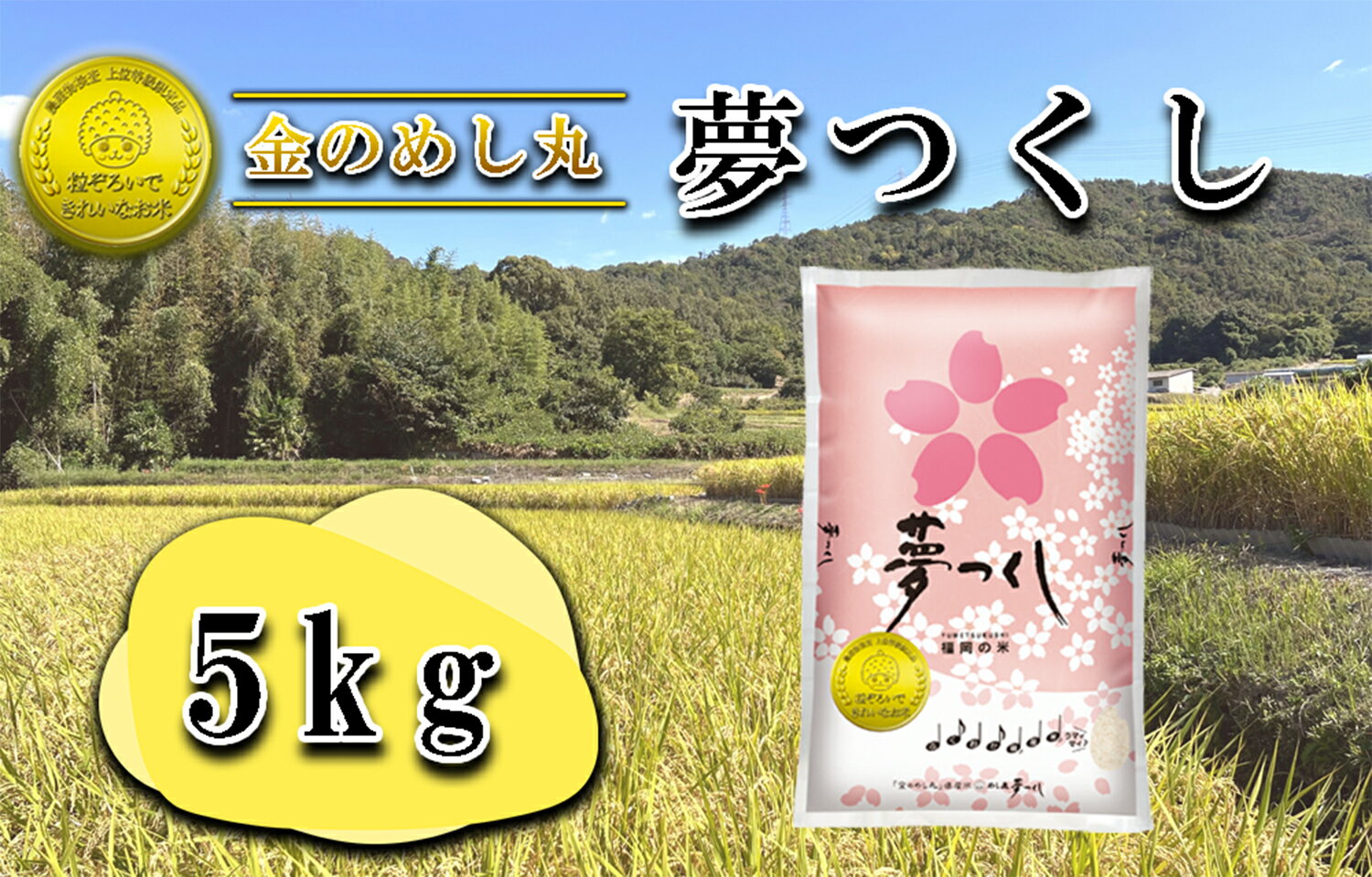 【ふるさと納税】令和7年米　金のめし丸夢つくし 5Kg(1袋）_CE-055