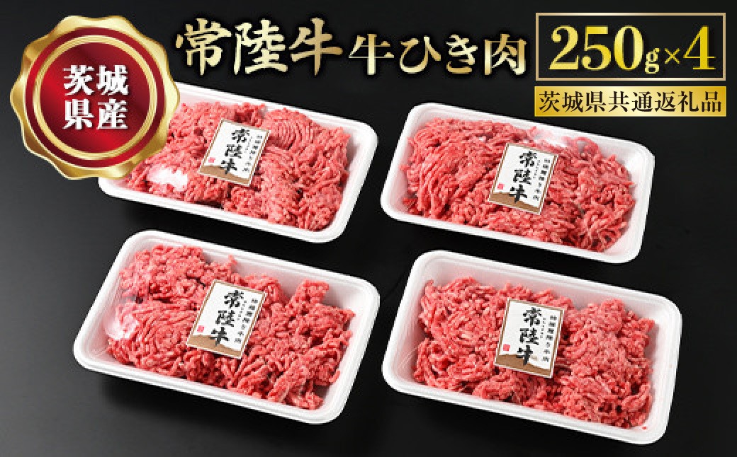 
                  【常陸牛】牛ひき肉 250g×4 合計1kg（茨城県共通返礼品） 牛肉 お肉 挽肉 ひき肉 4パック ハンバーグ メンチカツ
                