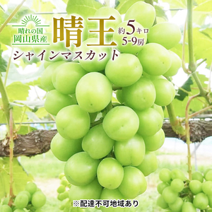 シャインマスカット 晴王 岡山県産 シャインマスカット【約5kg 5～9房】【先行予約】