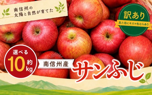 訳あり品 長野県産 サンふじ 約10kg ＜2027年1月上旬～2月上旬発送＞ | 山下屋荘介 果物 くだもの フルーツ 訳あり サンふじ サンフジ りんご リンゴ 林檎 長野県 信州 南信州 飯田市