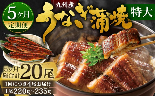 【5ヶ月定期便】九州産 うなぎ蒲焼 特大4尾 (1尾あたり220～235g)  合計20尾 たれ 山椒 鰻 ウナギ 蒲焼き 国産 冷凍 鹿児島、宮崎、熊本等産うなぎ原料使用