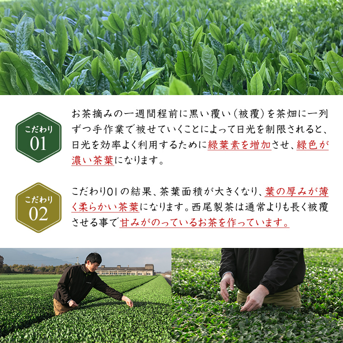 【新型コロナ被害支援】かのや深蒸し煎茶１０袋セット