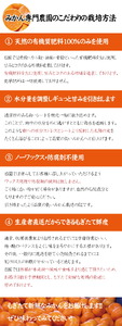 【2024年秋頃発送予約分】＼光センサー選別／＼農家直送／甘くて濃厚！希少品種 ゆら早生みかん 合計約7kg 有機質肥料100% サイズ混合 ※2024年10月末で申込締切　※2024年10月上旬より