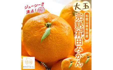 【先行予約】【果汁たっぷり】迫力満点！ 大粒 完熟有田みかん 家庭用 サイズ混合(2L～4L)　約7.7kg(7.5kg+200g)【2026年11月中旬～1月中旬頃に順次発送予定】【ard226A】