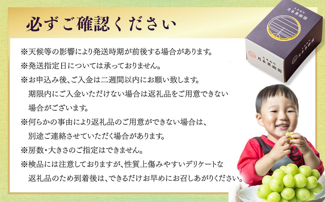 【定期便3回】 ［種なし］ 岡山県産 シャインマスカット 1kg箱（2房入り） 【2025年10月下旬発送開始】 ／ ぶどう ブドウ 葡萄 大粒 種なし 種無し フルーツ 果物 くだもの 果実