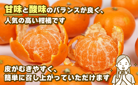 蜜柑 訳あり 小玉 温州みかん 早生 10kg 玉津柑橘倶楽部 早生温州 温州 みかん 早生みかん 小玉みかん 甘い 果物 くだもの フルーツ 柑橘 mikan 蜜柑 愛媛蜜柑 愛媛みかん わけあり 