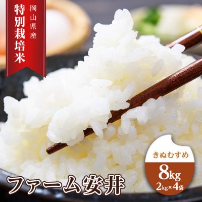 ふるさと納税 赤磐市 お米 【2025年11月〜発送予定】 特別栽培米 きぬむすめ 8kg[NO5765-1408]