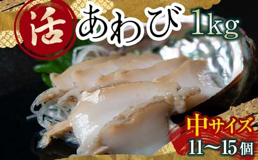 
            天然 活 あわび 1kg（中サイズ・11～15個）北海道噴火湾産＜物産館運営振興会((株)ハマグチ)＞ あわび 鮑 アワビ 海産物 魚貝類 ふるさと納税 北海道 森町 mr1-0295
          