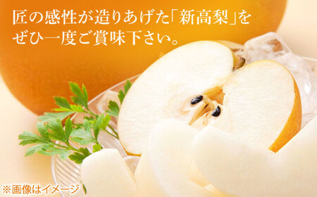 【先行予約】 まるはり新高梨（約800g×2玉入） 〈2025年9月下旬から発送開始〉 / 新高梨 梨 果物 フルーツ デザート 　【高知市農業協同組合】[ATBK001]