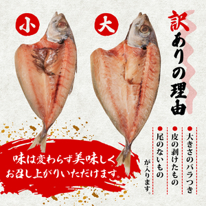 訳あり 干物 アジ 開き 1kg 無添加 冷凍 干物 干物 干物 干物 干物 干物