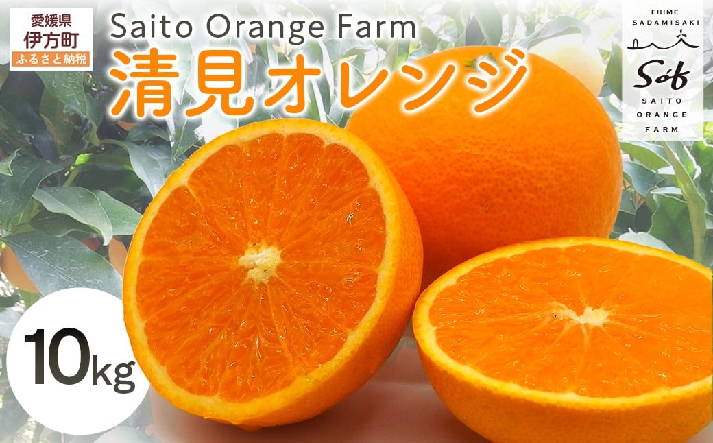
            【先行予約】Saito Orange Farmの清見オレンジ10kg（2026年3月中旬頃より順次発送） 【 ふるさと納税 人気 おすすめ ランキング みかん ミカン 蜜柑 柑橘 清見 オレンジ 清見オレンジ フルーツ 果物 産地直送 西宇和 Saito Orange Farm 愛媛県産 愛媛県 伊方町 送料無料 】 IKTAQ008
          