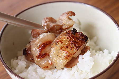 飛騨産和牛ホルモン 塩味 210g×4袋【冷凍】牛肉 牛ホルモン しお味 天狗 ほるもん 牛ホル【11-73】