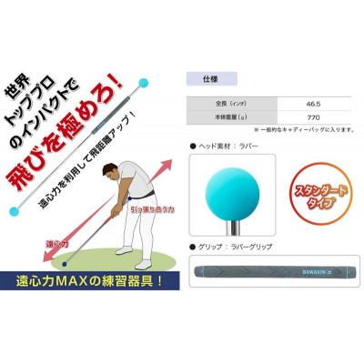 ふるさと納税 姫路市 リンクスゴルフ　ダワ筋スティック　スタンダードタイプ【赤×紺】[53651358] |  | 01