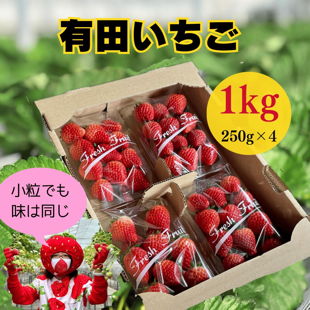【ふるさと納税】【2026年2月〜順次発送】有田いちご 1kg お徳用いちご ちょっと小粒（2L〜Mサイズ）250g×4パック 朝摘み完熟いちごを即日発送！【みゆきファーム】いちごさん F12-46