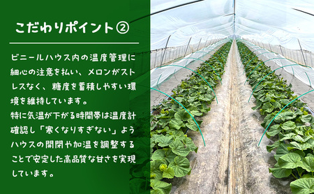 富良野メロン 赤肉 フルーツ 富良野メロン【2玉 約4kg以上】先行予約