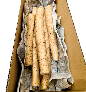 訳あり ながいも 約4kg (洗い)｜長いも 長芋 ナガイモ 山芋 ヤマイモ やまいも 訳アリ とろろ 滋養強壮 青森産 [0788]