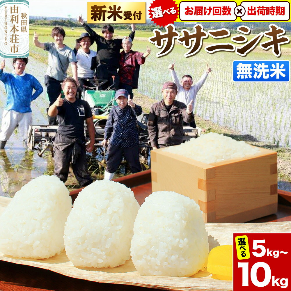 【ふるさと納税】《新米受付》令和7年産【無洗米】特別栽培米 ササニシキ 秋田県産【選べる容量 ／定期便／出荷時期】