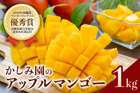 【 先行予約 2026年 発送 】 優秀賞受賞のかしみ園 アップルマンゴー 1kg 沖縄県産 マンゴー アーウィンマンゴー 1キロ 国産 完熟マンゴー 果物 南国 くだもの フルーツ 完熟 夏 旬 特産品 沖縄 お取り寄せ 産地直送 農家直送 甘い 濃厚 糸満市 18-5