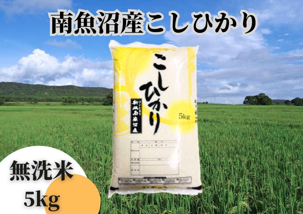 中【令和6年産 新米】【新潟県 特A地区】南魚沼産こしひかり 無洗米5ｋｇ