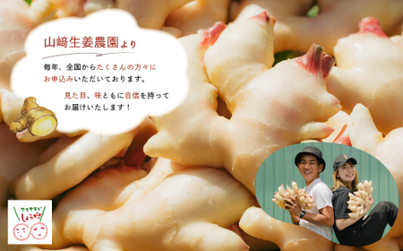 R5-081．【早期受付・期間限定】みずみずしさがたまらない！新生姜約3kg【2024年5月下旬～9月上旬配送】