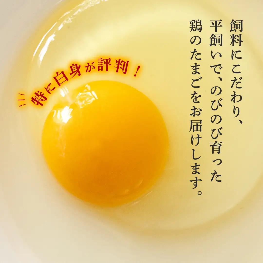 【3ヶ月定期便】枝さんち の たまご 20個×3回 合計60個 定期便 産地直送 たまご 玉子 生卵 鶏卵 タマゴ 平飼い 桜川市産 茨城県産 卵 非遺伝子組換え [BT004sa]