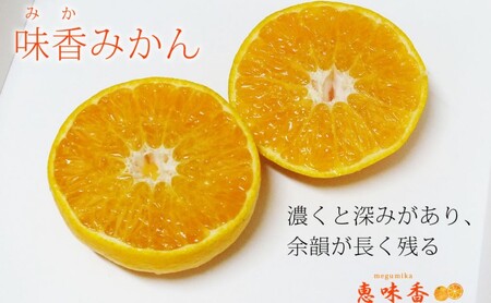 佐賀みかん ワイン “味香ワイン” 赤仕立て 辛口・甘口 720ml 各1本 お酒 アルコール