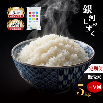 ふるさと納税 盛岡市 【毎月定期便】無洗米 銀河のしずく 5kg全9回