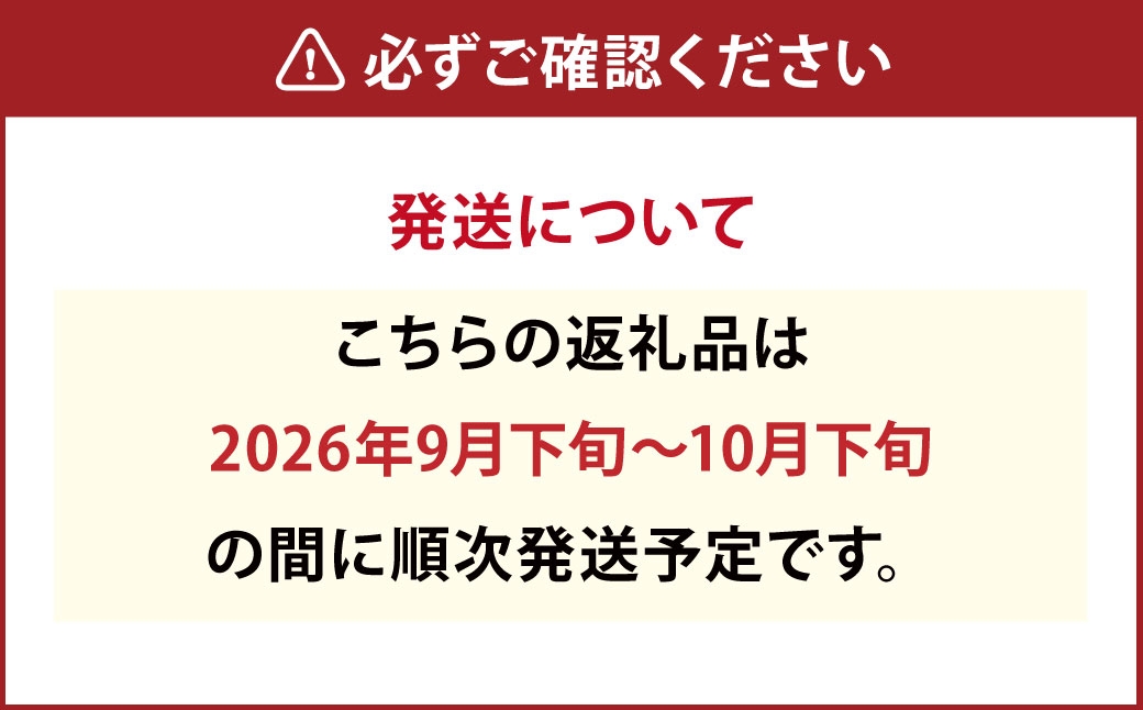 ピオーネ約1kg箱（2〜3房）