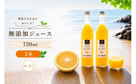 
                  はっさく 100% ジュース / 八朔 ストレート 果汁 無添加 柑橘 和歌山 7000円 720ml ※北海道・沖縄・離島への配送不可 //drink 【ikd100-has720-2A】
                