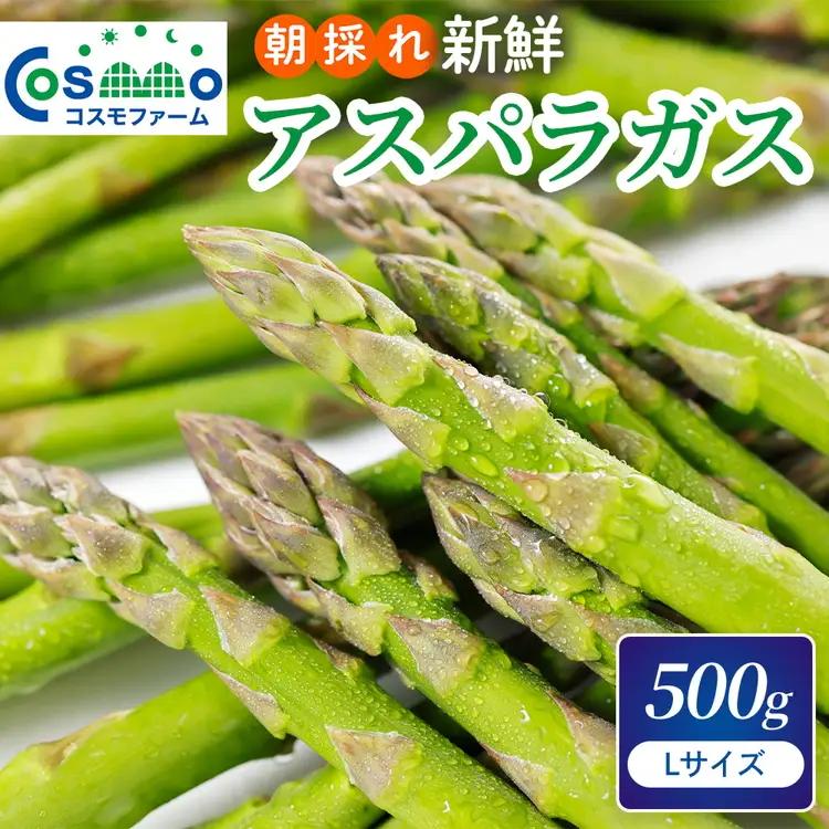 朝採り新鮮アスパラガス 500g【Lサイズ】 | アスパラガス