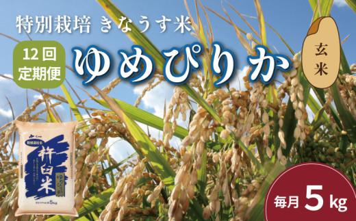 【玄米12ヶ月定期便】特別栽培「きなうす米」ゆめぴりか5kg×12回　P012