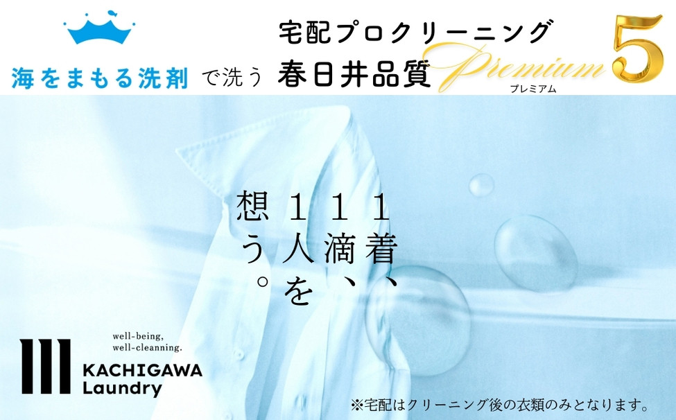 
            宅配クリーニング　春日井品質プレミアム（5点コース）
          