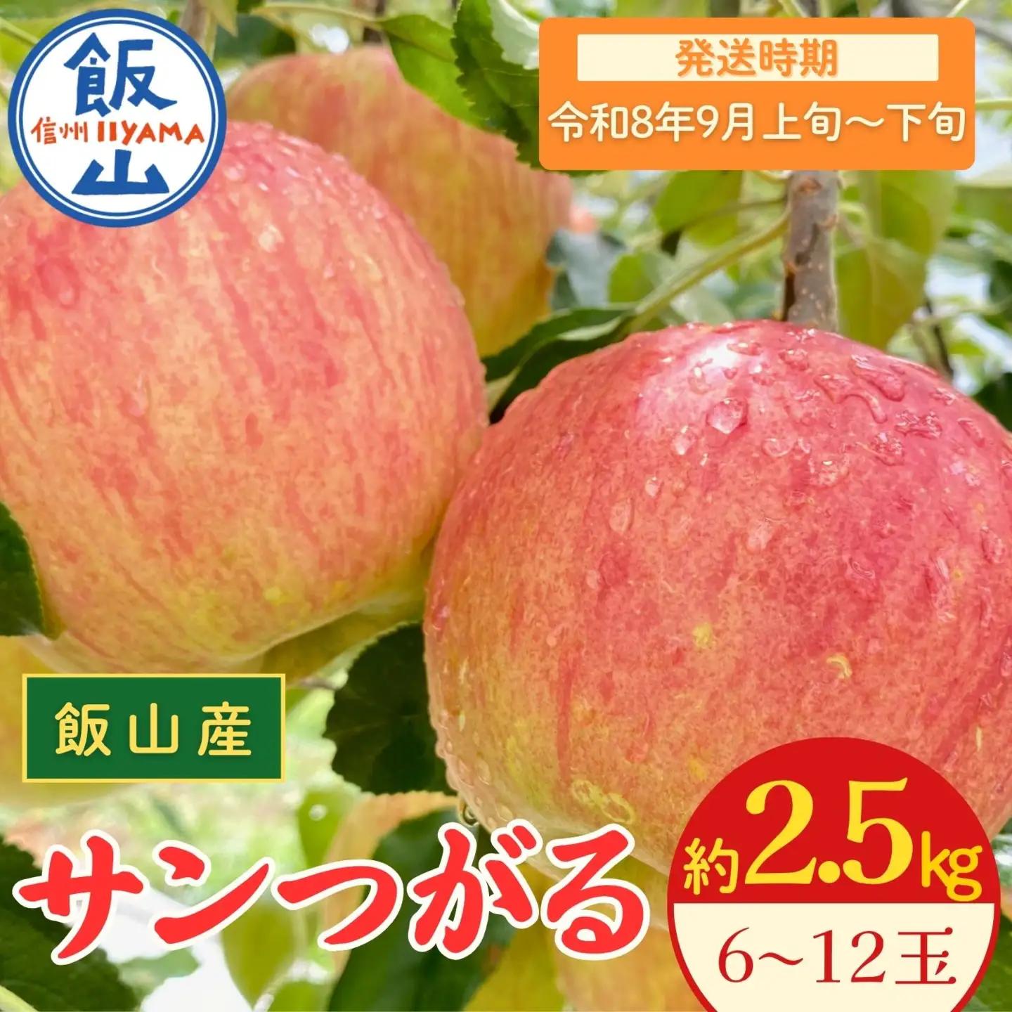 【先行予約丨2026年9月上旬より順次発送】サンつがる【約2.5kg(6〜12玉)】(At-003)丨長野県 飯山市 おすすめ ランキング おいしい 高評価 大人気 先取り 産地直送 りんご