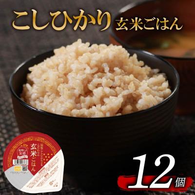 ふるさと納税 松原市 米匠庵 こだわりの玄米ご飯 120g×12個 コシヒカリ使用 無菌パック 常温保存 大阪府松原市
