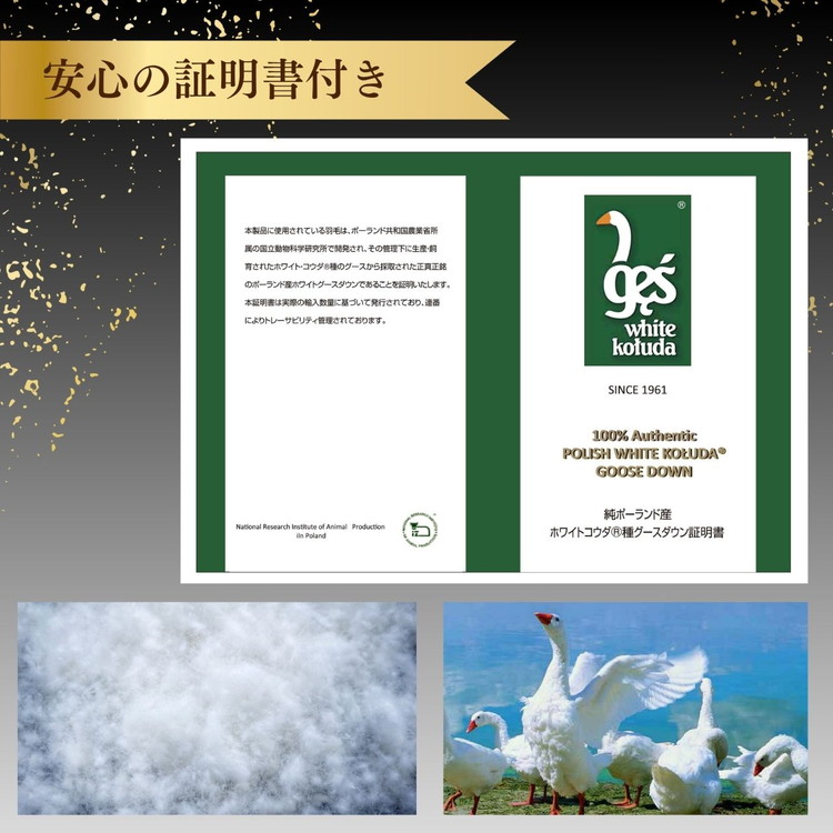 ＜京都金桝＞羽毛布団 シングル 特殊2層キルト(ポーランド産マザーホワイトグースダウン95％ ホワイトコウダ・たっぷり1.2kgふっくら仕上げ) ロジック≪羽毛ふとん 掛け布団 国内再洗浄 DP450