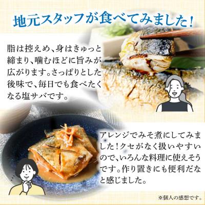 ふるさと納税 土佐清水市 訳あり 国産 塩サバ 切り身 約3kg(約18枚)味付き・冷凍【R01426】 |  | 02