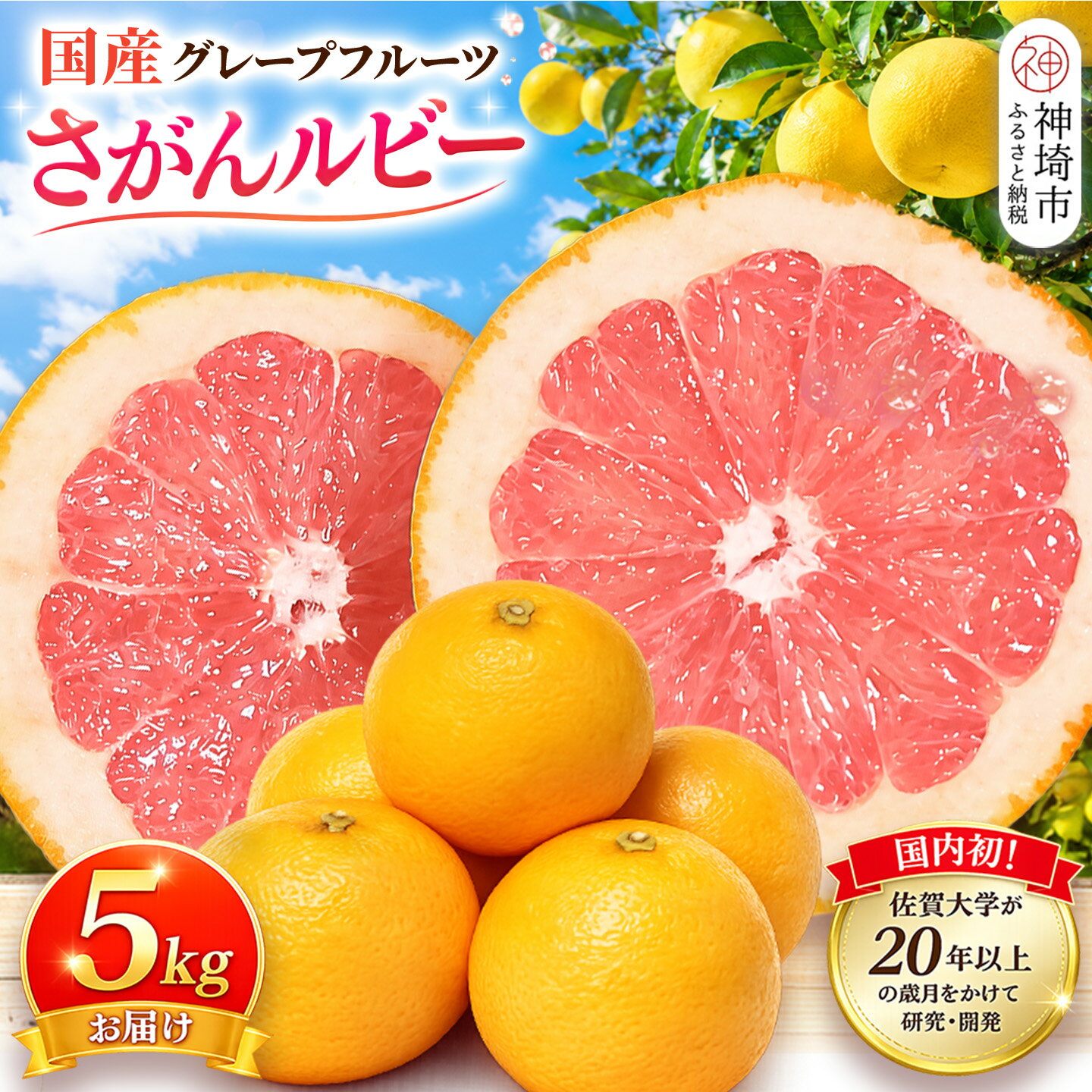 【ふるさと納税】【2027年3月中旬より発送開始】さがんルビー 5kg(グレープフルーツ)【柑橘 フルーツ デザート ジューシー リフレッシュ】(H116149)