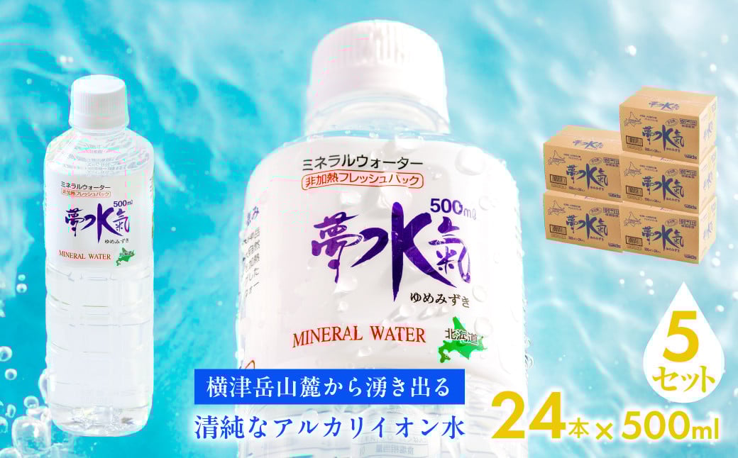 
            ミネラルウォーター夢水氣（500ml×24本）5セット 天然アルカリイオン水 軟水 【ふるさと納税 人気 おすすめ ランキング 天然アルカリイオン水 天然水 ミネラルウォーター 横津岳山麓 北海道 七飯町 送料無料】 NAL011
          