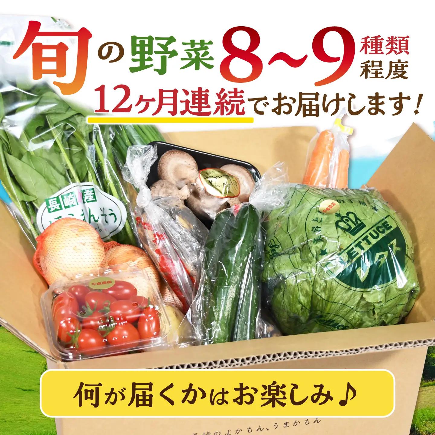 【ふるなび限定】野菜 12回定期便  諫早産野菜の詰め合わせ 8・9品目程度 [AHDI003]