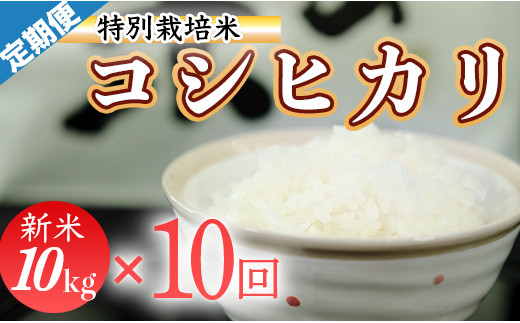 
                  令和8年産 (精白米)　特別栽培米　こしひかり10kg ×10袋
                