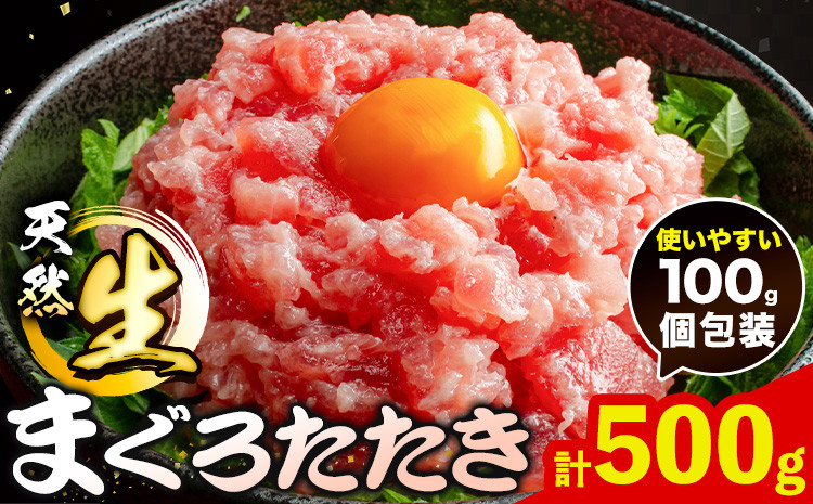 
                  那智勝浦直送 天然まぐろたたき ( ネギトロ風 ) 500g 株式会社魚鶴《30日以内に出荷予定(土日祝除く)》 和歌山県 日高町 まぐろ 魚 マグロ たたき ねぎとろ 海鮮 鮪 魚介 さかな
                