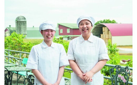 徳島ゆず＆生ソフトクリーム 14個×120ml アイスクリーム アイス スイーツ 池田町 ジェラート ギフト ソフトクリーム  国産 詰め合わせ アイスセット 嶋木牧場 先行予約