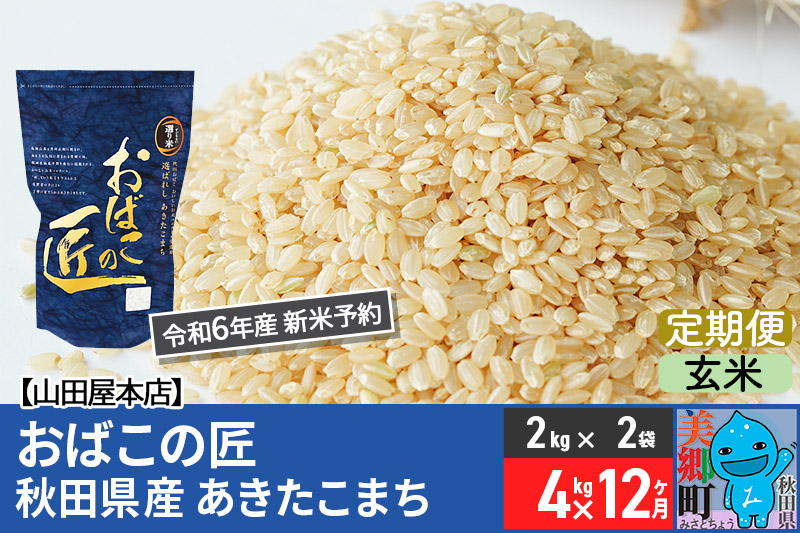 
【玄米】＜令和6年産 新米予約＞《定期便12ヶ月》おばこの匠 秋田県産あきたこまち 4kg×12回 計48kg 12か月 12ヵ月 12カ月 12ケ月 秋田こまち お米
