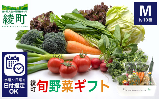 綾町旬野菜ギフト〈 Mサイズ/約10種 〉2～3人分 産地直送 野菜セット 詰め合わせ 新鮮 有機栽培 旬 採れたて 野菜 新鮮野菜 人参 トマト じゃがいも 玉ねぎ きゅうり さつまいも 芋 ねぎ 小松菜 大根 ほうれん草 キャベツ キノコ等 送料無料 【オーガニックのまち 宮崎県綾町】