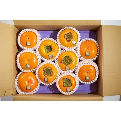 ふるさと納税 大野城市 【先行受付】秋王(あきおう)3.5kg箱(8-12玉)(大野城市) |  | 03