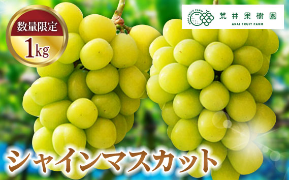【先行予約】荒井果樹園のシャインマスカット　約1kg