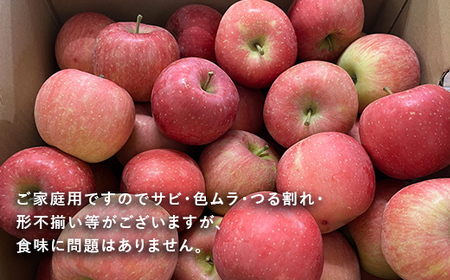 【令和6年産先行予約】 〈訳あり品 家庭用〉 りんご 「サンふじ」 約5kg バラ詰め 《令和6年12月上旬～令和7年2月下旬発送》 『カネタ高橋青果』 リンゴ 山形県 南陽市 [1958]