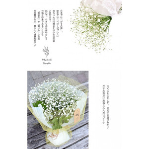 かすみそうの花束 かすみ草 カスミソウ 花束(小さいサイズ) 【 カスミソウ ブーケ 花 花束 花ギフト 】
